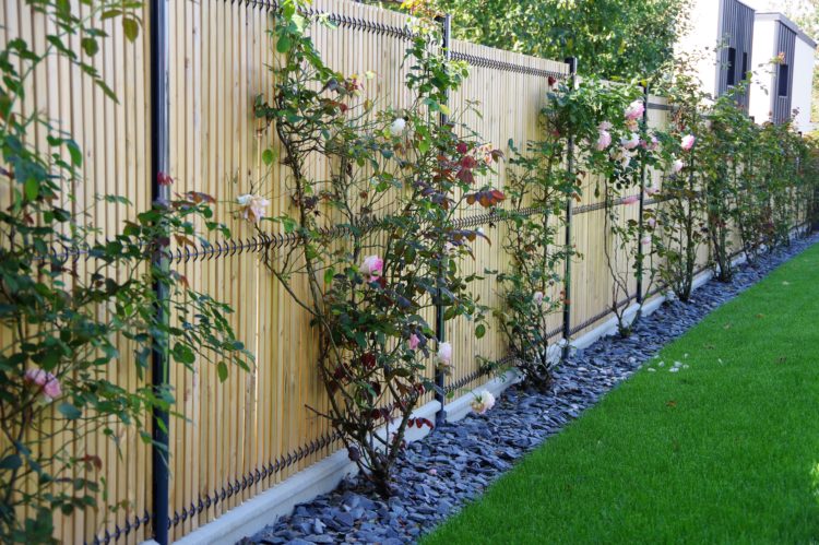 clôture bois irodouer